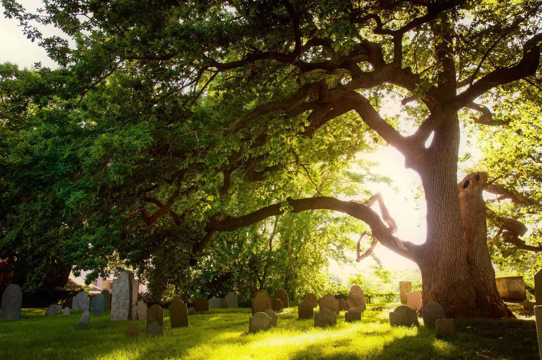 Salem, Massachusetts graveyard