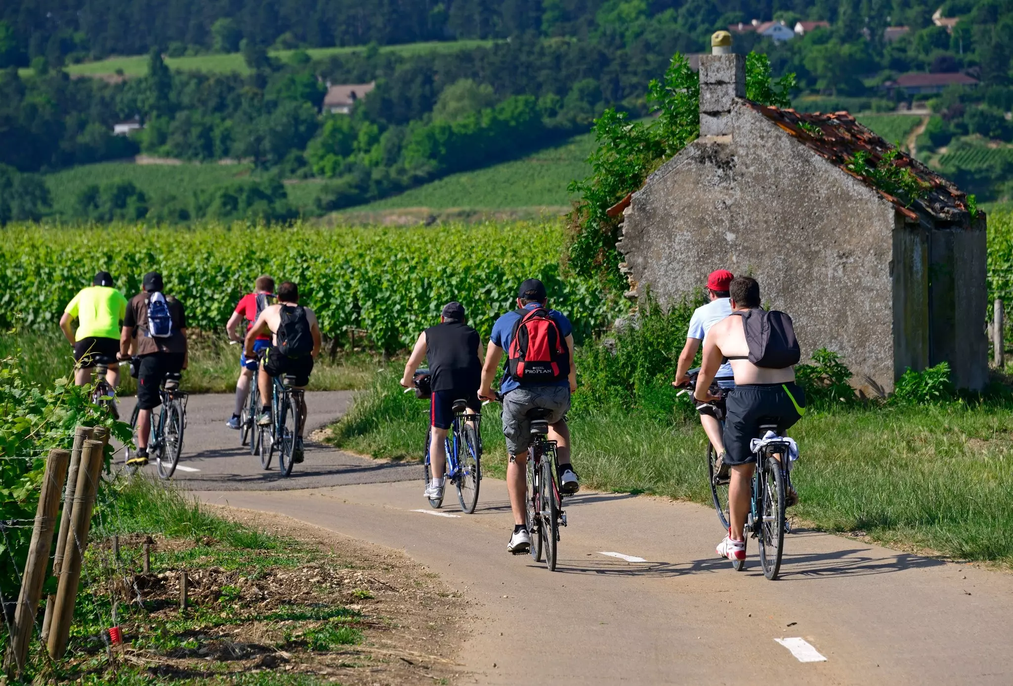 Burgundy_Cycling_Cote-de-Beaune.jpg