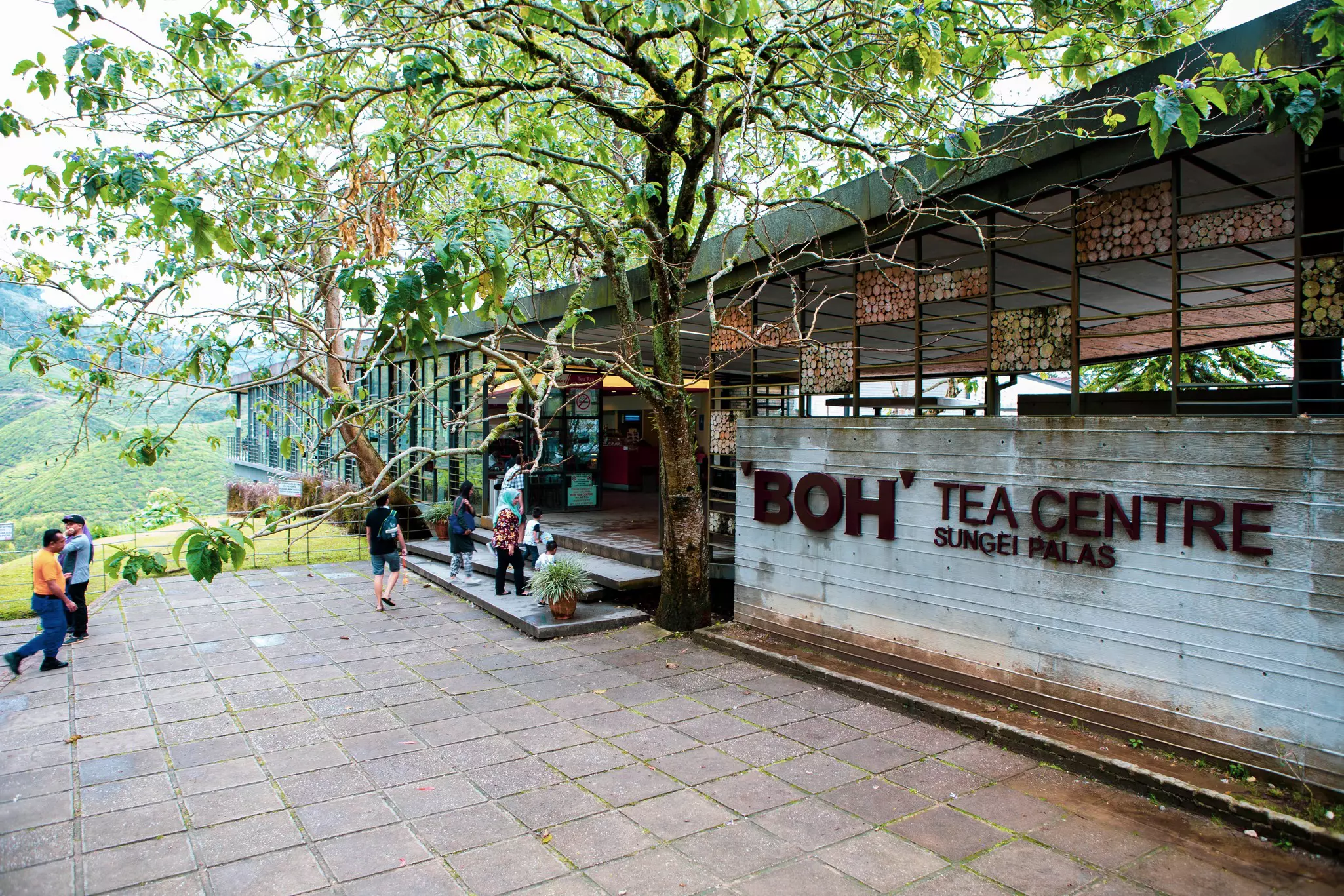 People walking up to a one-level, earth-toned building that has a sparse tree in front. The building's name, "Boh Tea Centre Sungei Palas," is in individual letters on its facade.