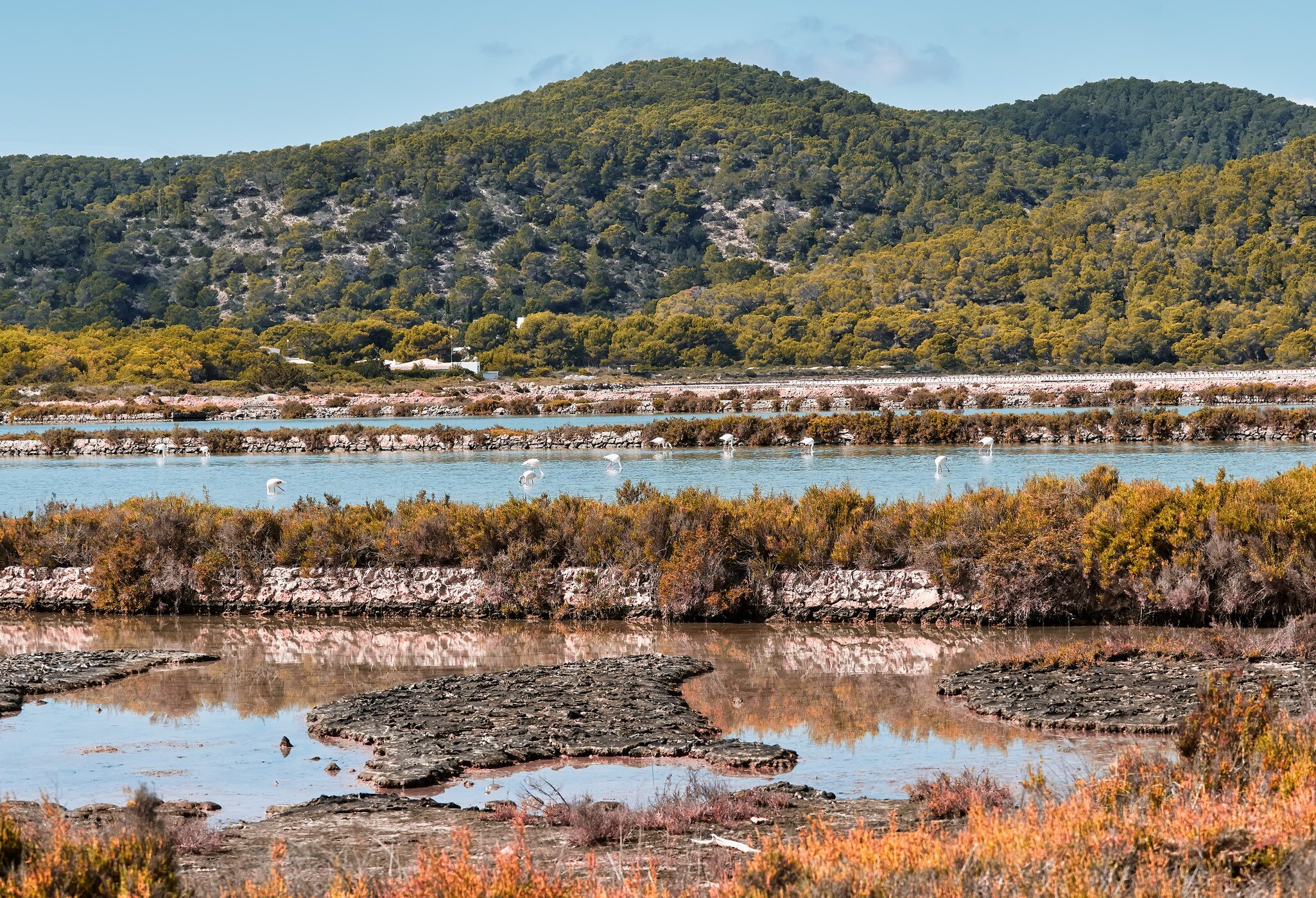 Ses Salines Natural Park in Ibiza, Spain. Place for hiking and bird watching like flamingos