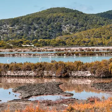 Ses Salines Natural Park in Ibiza, Spain. Place for hiking and bird watching like flamingos