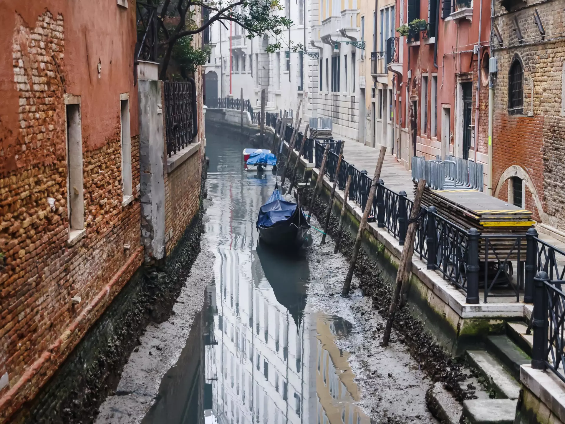 A dry canal at low tide in February in Venice, Italy © Alessandro Bremec/NurPhoto via Getty Images