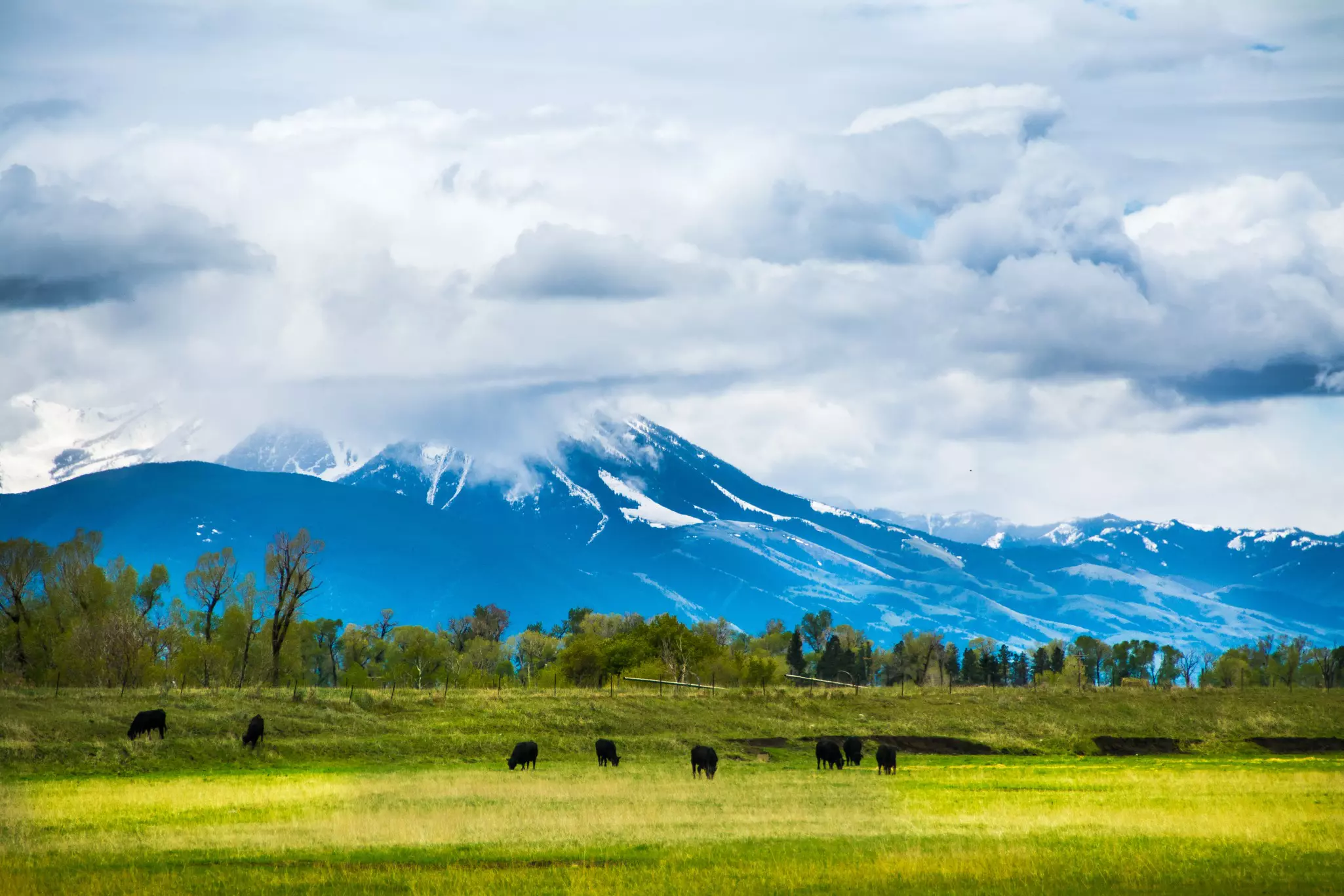 Learn about Bozeman’s frontier history, or simply take time to get in tune with your surroundings © Hannah Lorsch / Shutterstock