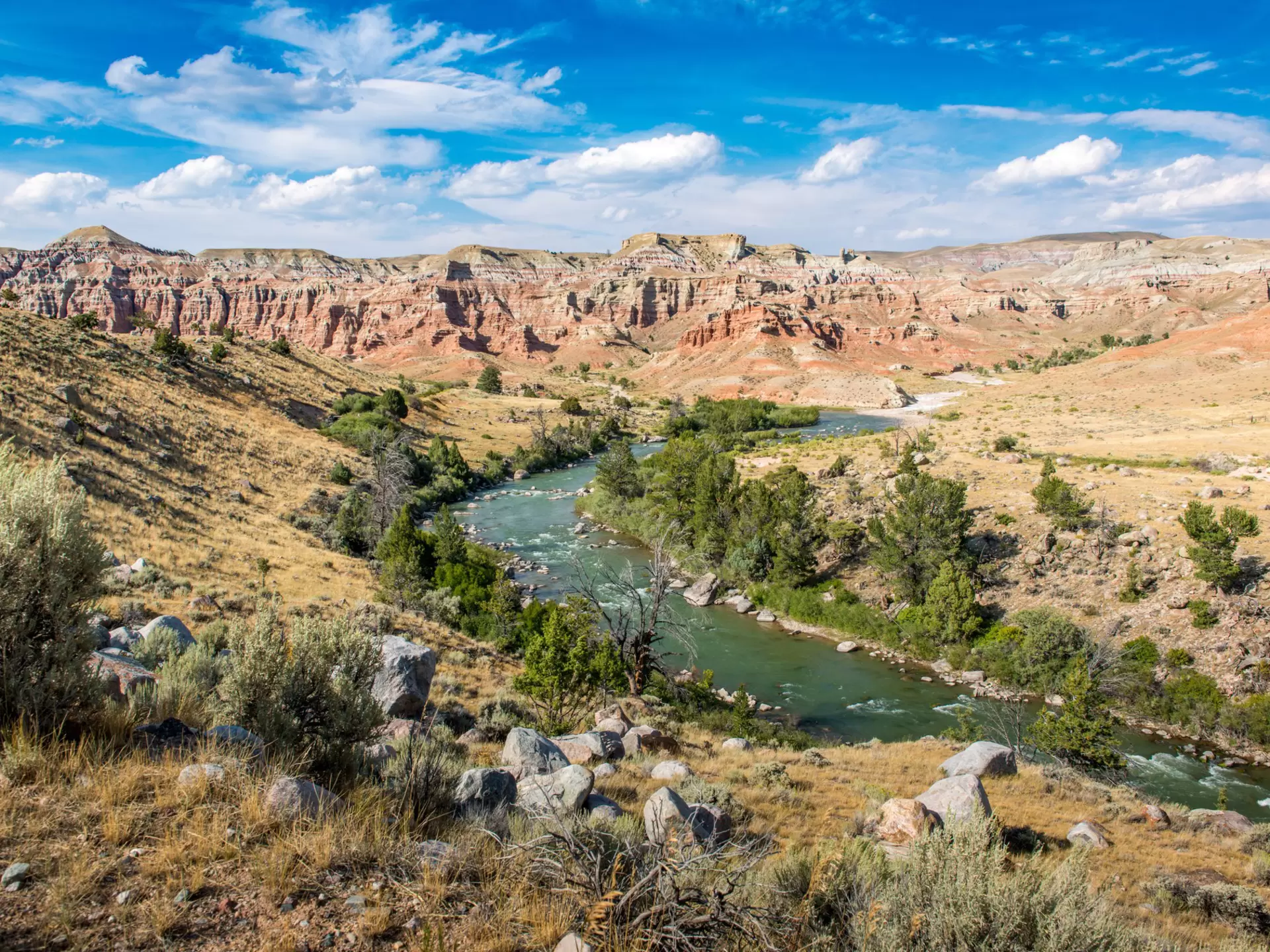 The Wind River twists through a green canyon near Dubois, Wyoming. 