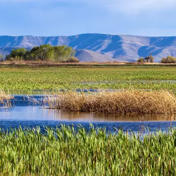 Wetlands in Alamosa National Wildlife Refuge; Shutterstock ID 1093129691;