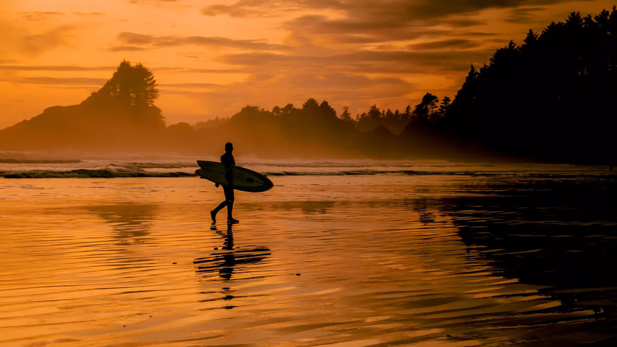 Two paddleboarders head in from the surf carrying their boards and oars