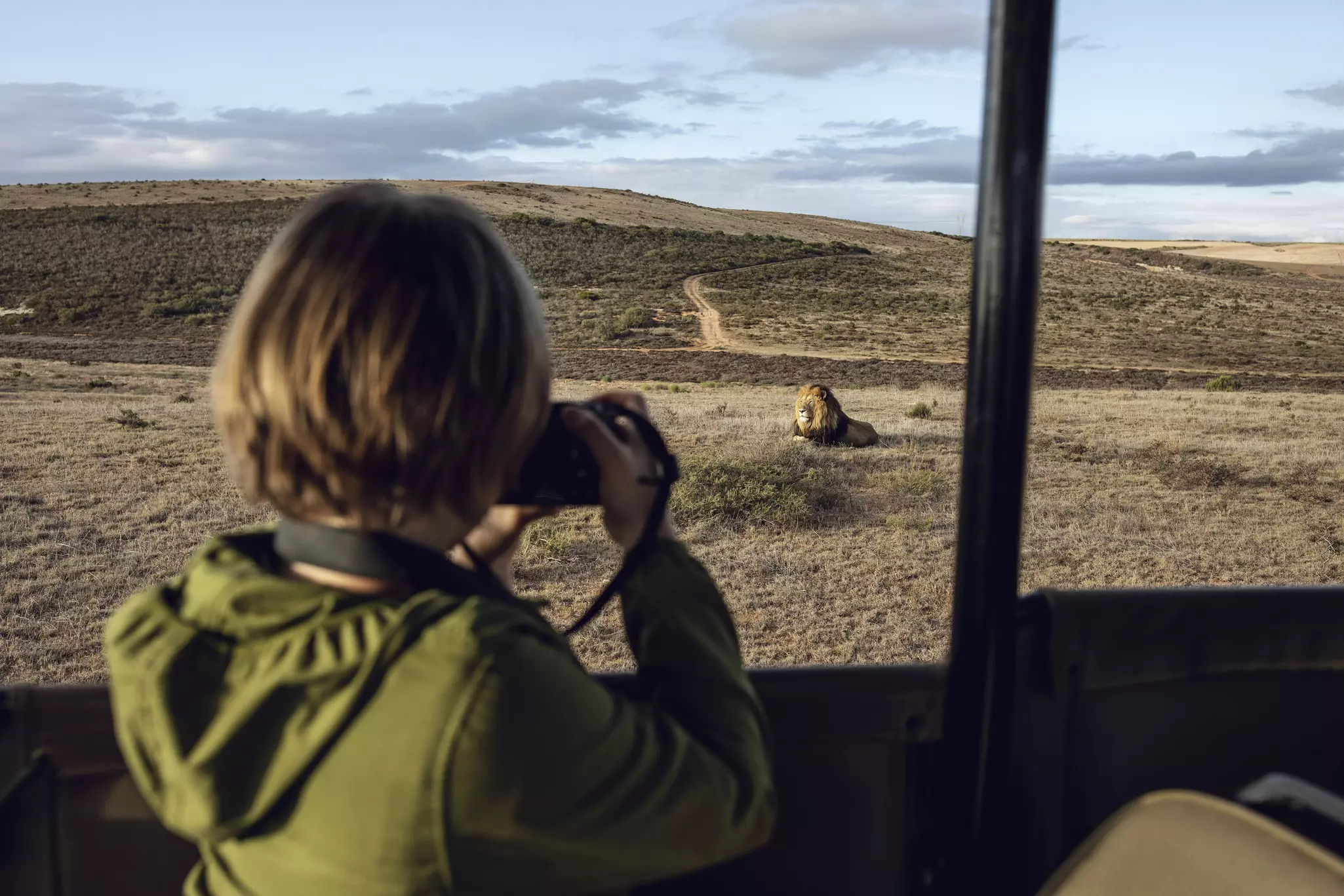 A young girl photographing a lion at Inverdoorn game Reserve in Breede River DC.