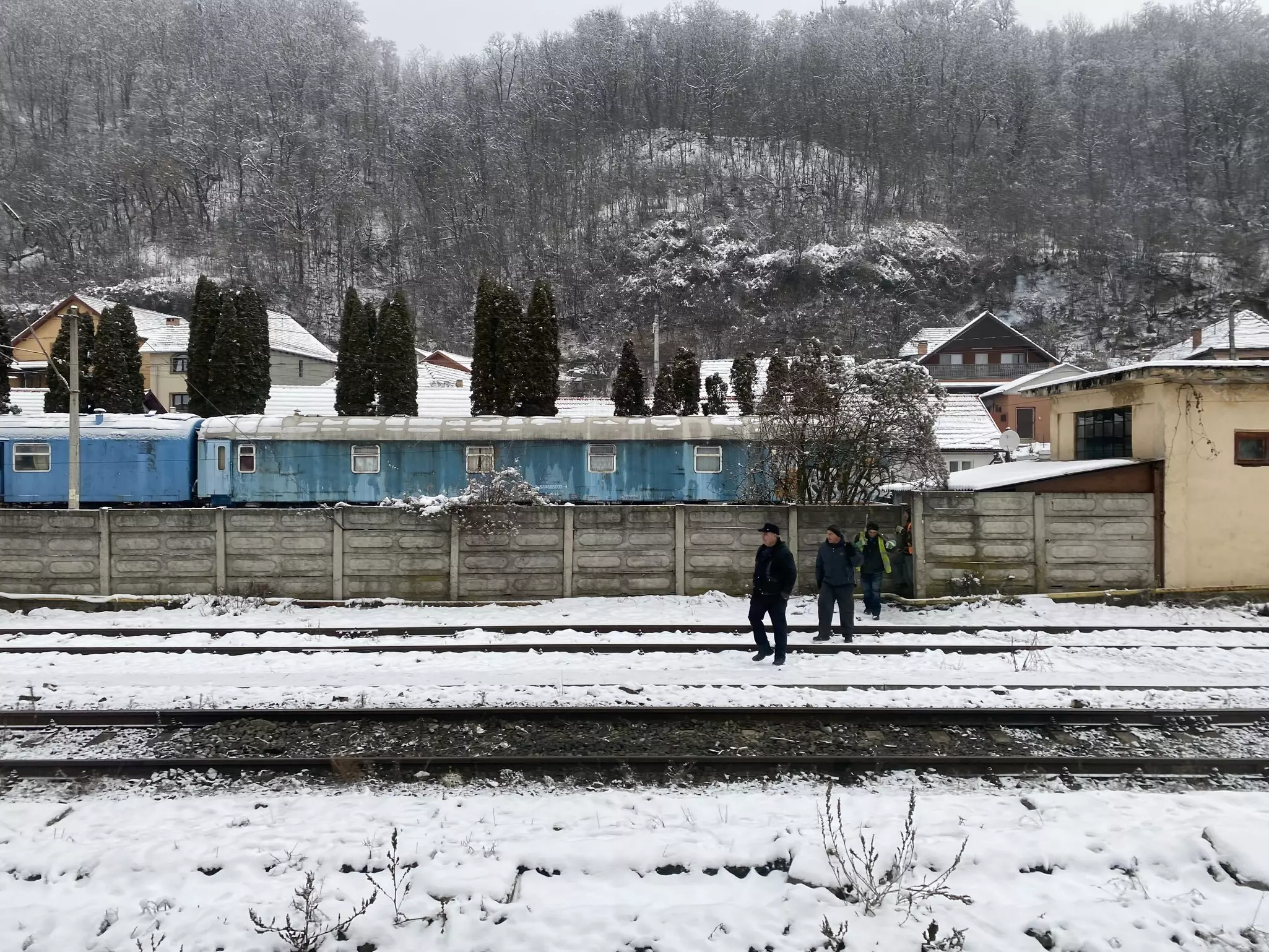 The view from the the carriage as snow fell © Monisha Rajesh