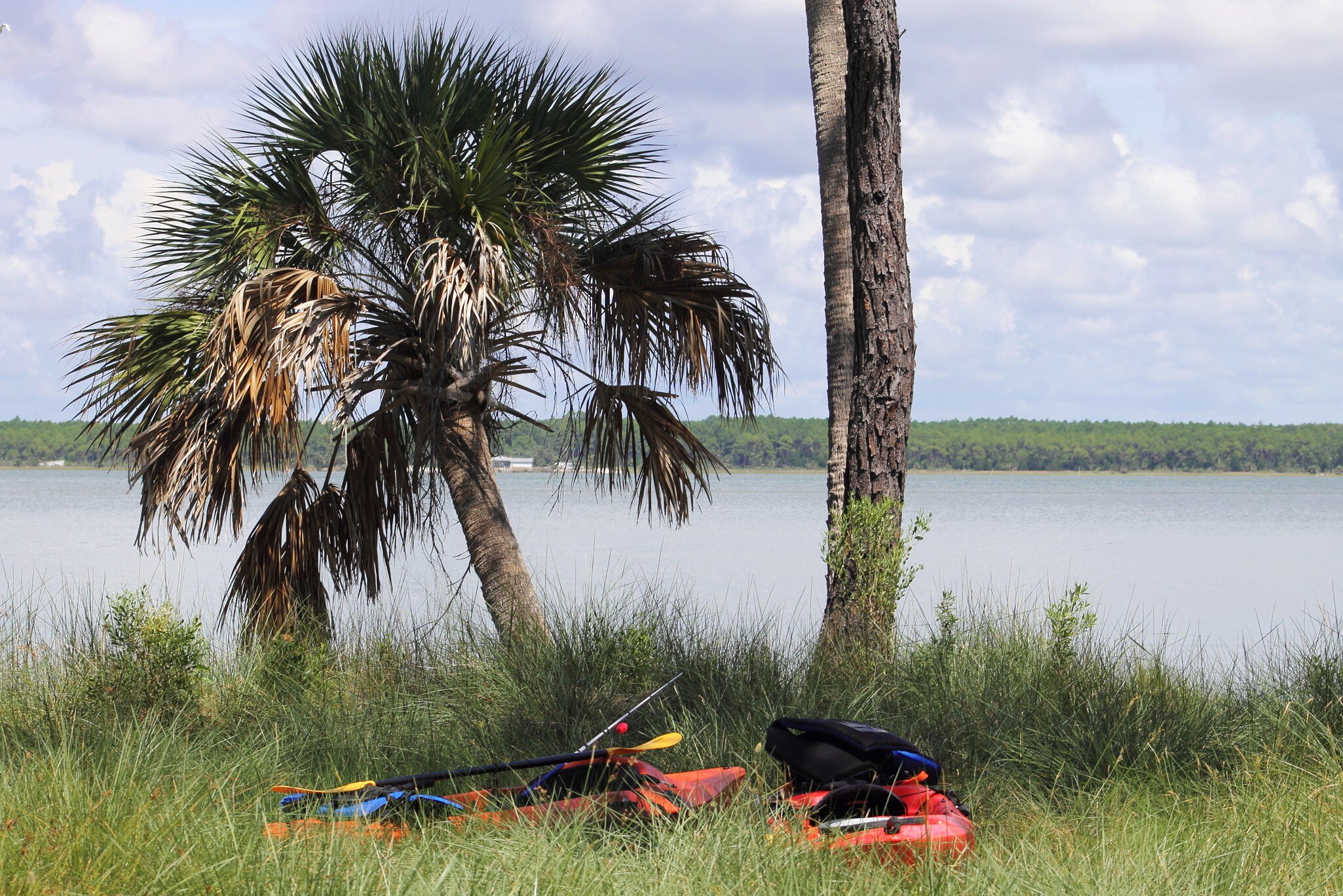 St. Vincent Island in Florida; Shutterstock ID 1451877566;