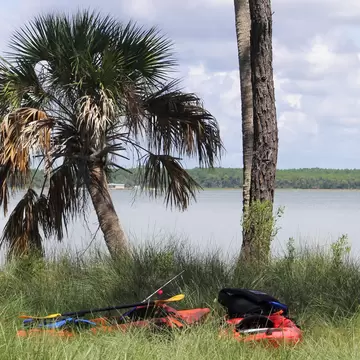 St. Vincent Island in Florida; Shutterstock ID 1451877566;