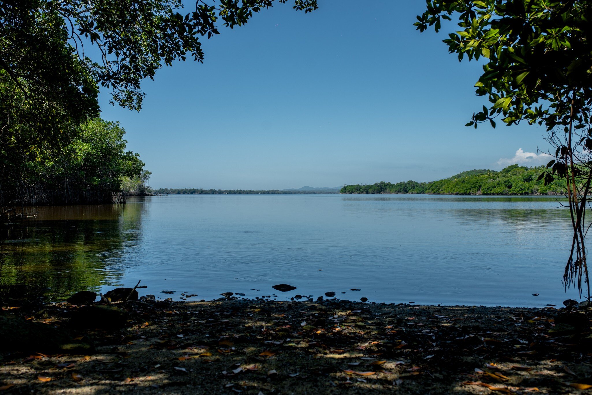 Laguna de manialtepec in Oaxaca, place of bioluminescence; Shutterstock ID 1895480986;