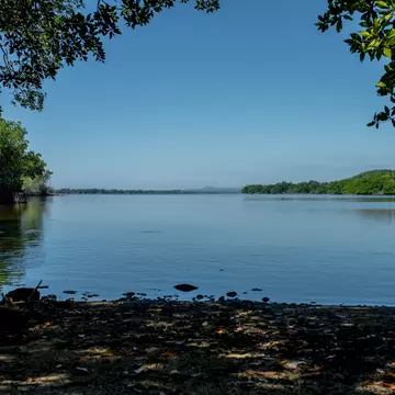 Laguna de manialtepec in Oaxaca, place of bioluminescence; Shutterstock ID 1895480986;