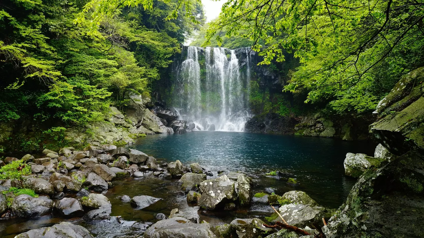 A waterfall collects into a dark blue pool of water, with rocks in the foreground and very green trees on either side