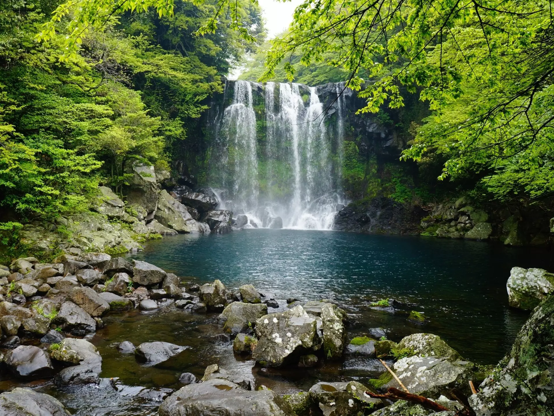 A waterfall collects into a dark blue pool of water, with rocks in the foreground and very green trees on either side