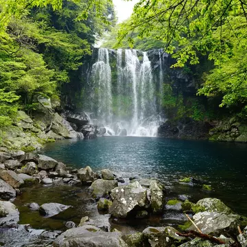 A waterfall collects into a dark blue pool of water, with rocks in the foreground and very green trees on either side