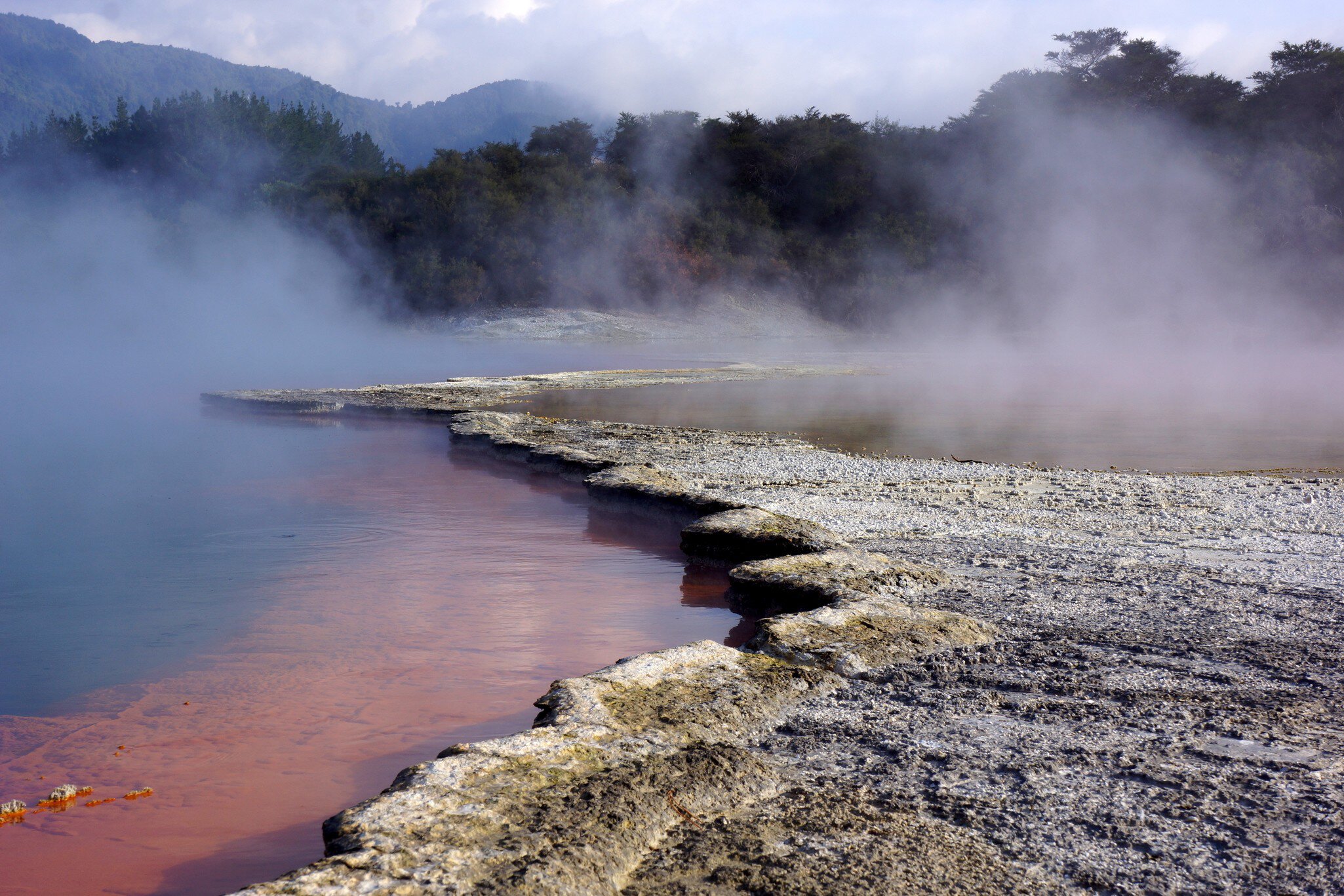 Champagne Pool