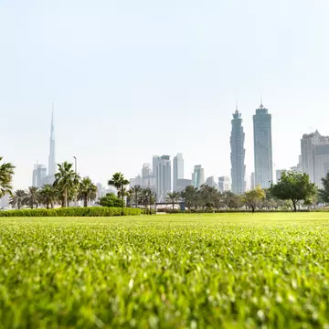 dubai skyline with downtown on the background
629338274
Burj Khalifa, Persian Gulf Countries, Capital Cities, Building Exterior, City Life, Downtown District, Grass, Skyscraper, Scenics, Construction Site, Tall - High, Futuristic, Green Color, International Landmark, Famous Place, Construction Industry, Architecture, Travel Destinations, Nature, Urban Scene, Dubai, United Arab Emirates, Arabia, Day, Grass Area, Park - Man Made Space, Tower, Built Structure, Residential District, Financial District, Urban Skyline, Cityscape, City, Town, Burj, khalifa, Dubai Marina