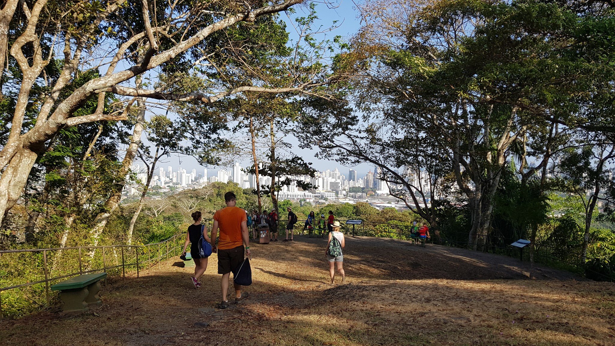 Panama City, Panama - 01/25/2019 People walking towards a view point in the Metropolitan Park in Panama City from which you can see the skyline of the city on a nice and sunny summer day.
Parque Natural Metropolitano
