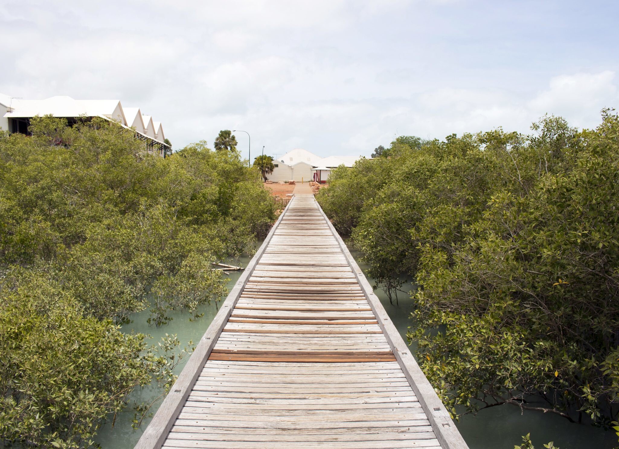 Historic Streeter's Jetty  in Broome, North Western Australia  built for pearl dealers and merchants in 1897 through the mangroves  in  Dampier Creek  is subject to huge tidal variations damaging  it.; Shutterstock ID 384044902; your: Bridget Brown; gl: 65050; netsuite: Online Editorial; full: POI Image Update