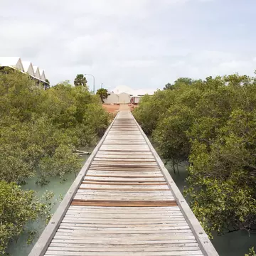 Historic Streeter's Jetty  in Broome, North Western Australia  built for pearl dealers and merchants in 1897 through the mangroves  in  Dampier Creek  is subject to huge tidal variations damaging  it.; Shutterstock ID 384044902; your: Bridget Brown; gl: 65050; netsuite: Online Editorial; full: POI Image Update