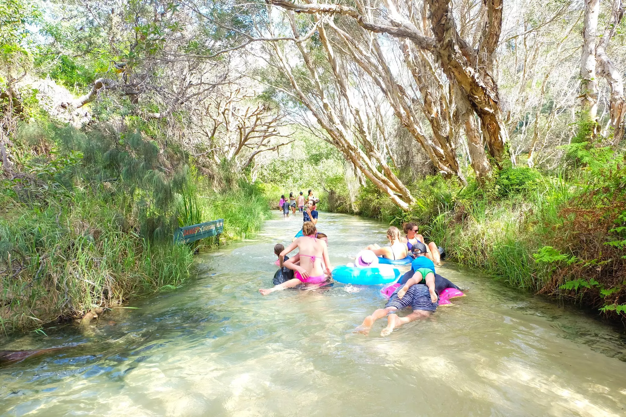 People float in a shallow creek through a subtropical forest