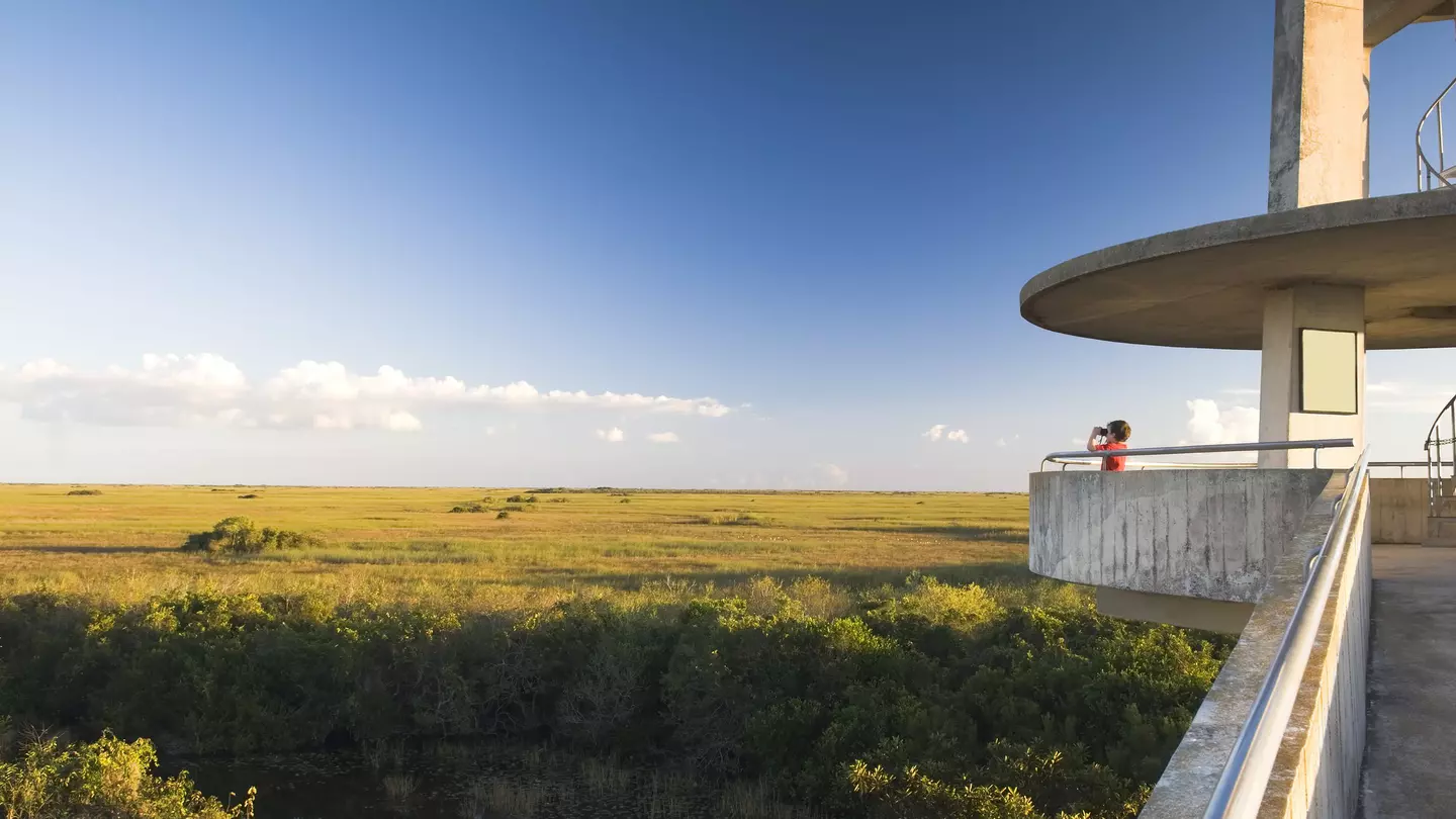 Plan a pit stop in Shark Valley at the observation tower, where a ramp winds over a gator-dotted waterway © AlpamayoPhoto / Getty Images