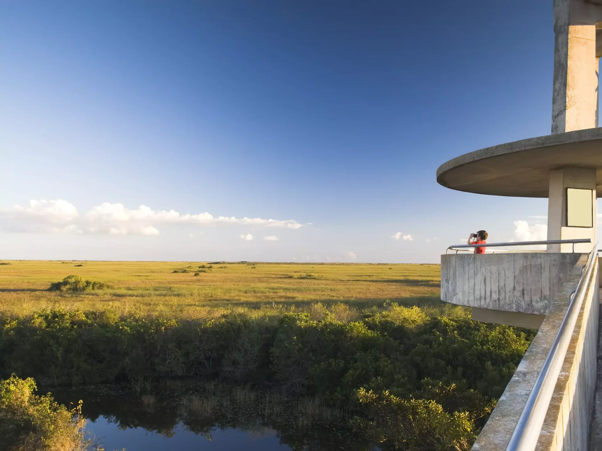 Plan a pit stop in Shark Valley at the observation tower, where a ramp winds over a gator-dotted waterway © AlpamayoPhoto / Getty Images