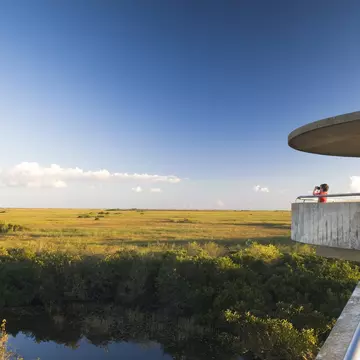 Plan a pit stop in Shark Valley at the observation tower, where a ramp winds over a gator-dotted waterway © AlpamayoPhoto / Getty Images
