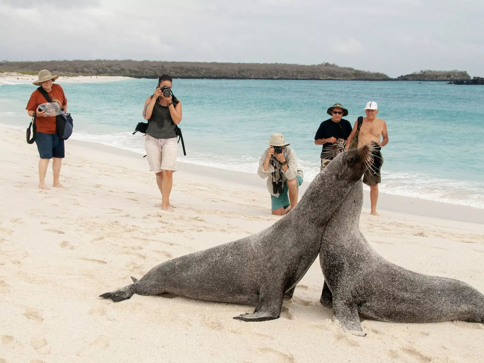 Starting in August, most adult visitors to the Galápagos can expect to pay a $200 entry fee, double the current rate © Danita Delimont / Shutterstock