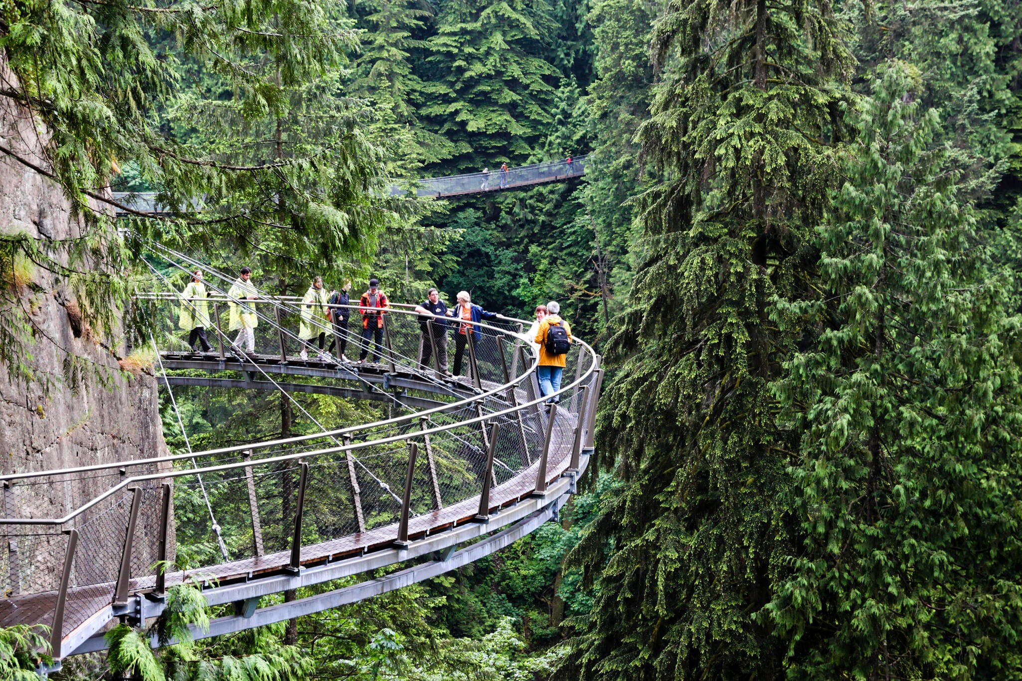 June 29, 2011: Visitors explore the Capilano Cliff Walk through rainforest vegetation. The cantilevered and suspended walkways jut out from the granite cliff face 230 metres above the Capilano River.