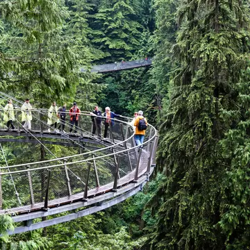 June 29, 2011: Visitors explore the Capilano Cliff Walk through rainforest vegetation. The cantilevered and suspended walkways jut out from the granite cliff face 230 metres above the Capilano River.