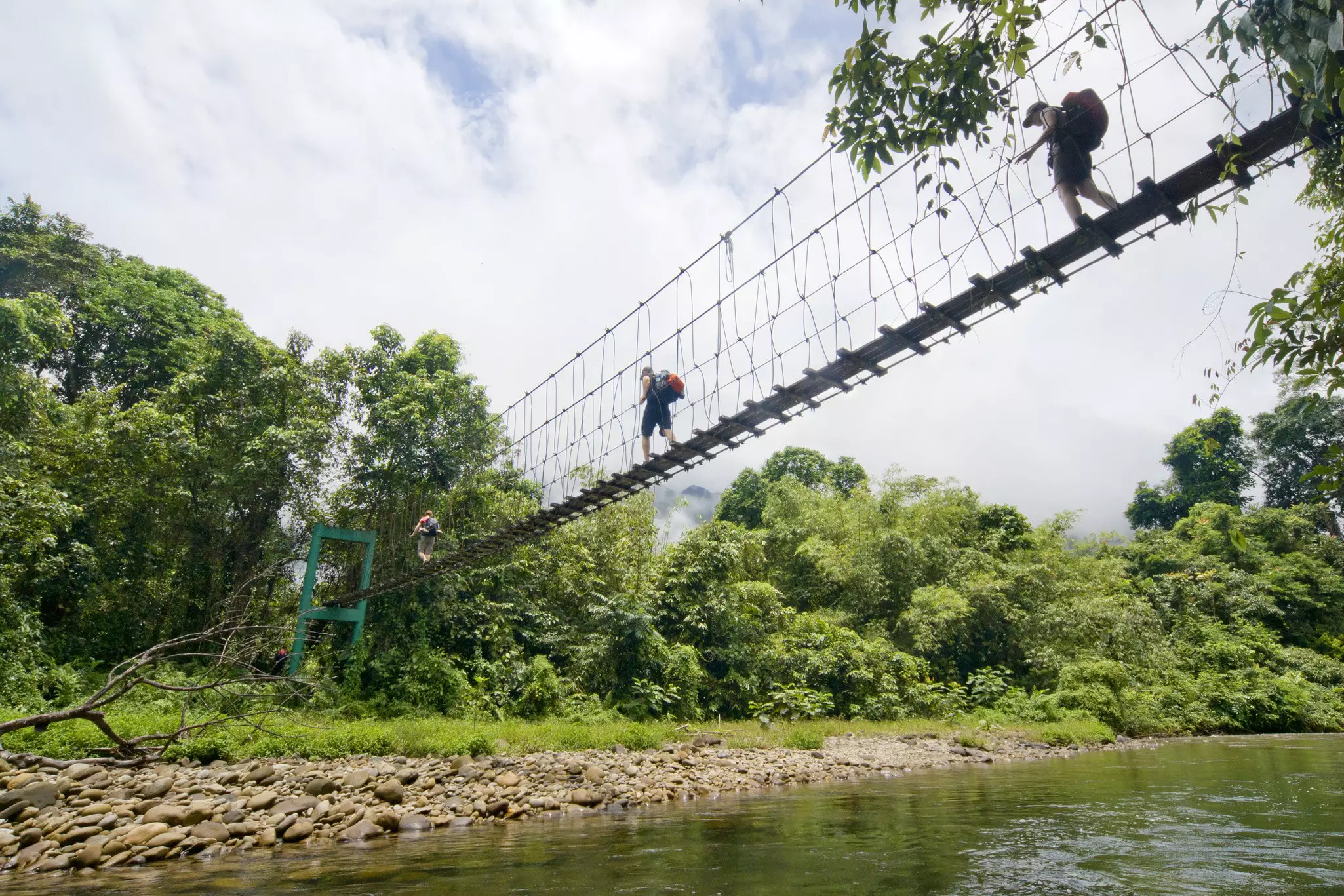 Walking in the tree tops, seeking out wildlife and rare flowers, are all experiences to be had in Sarawak's national parks. robas / Getty Images