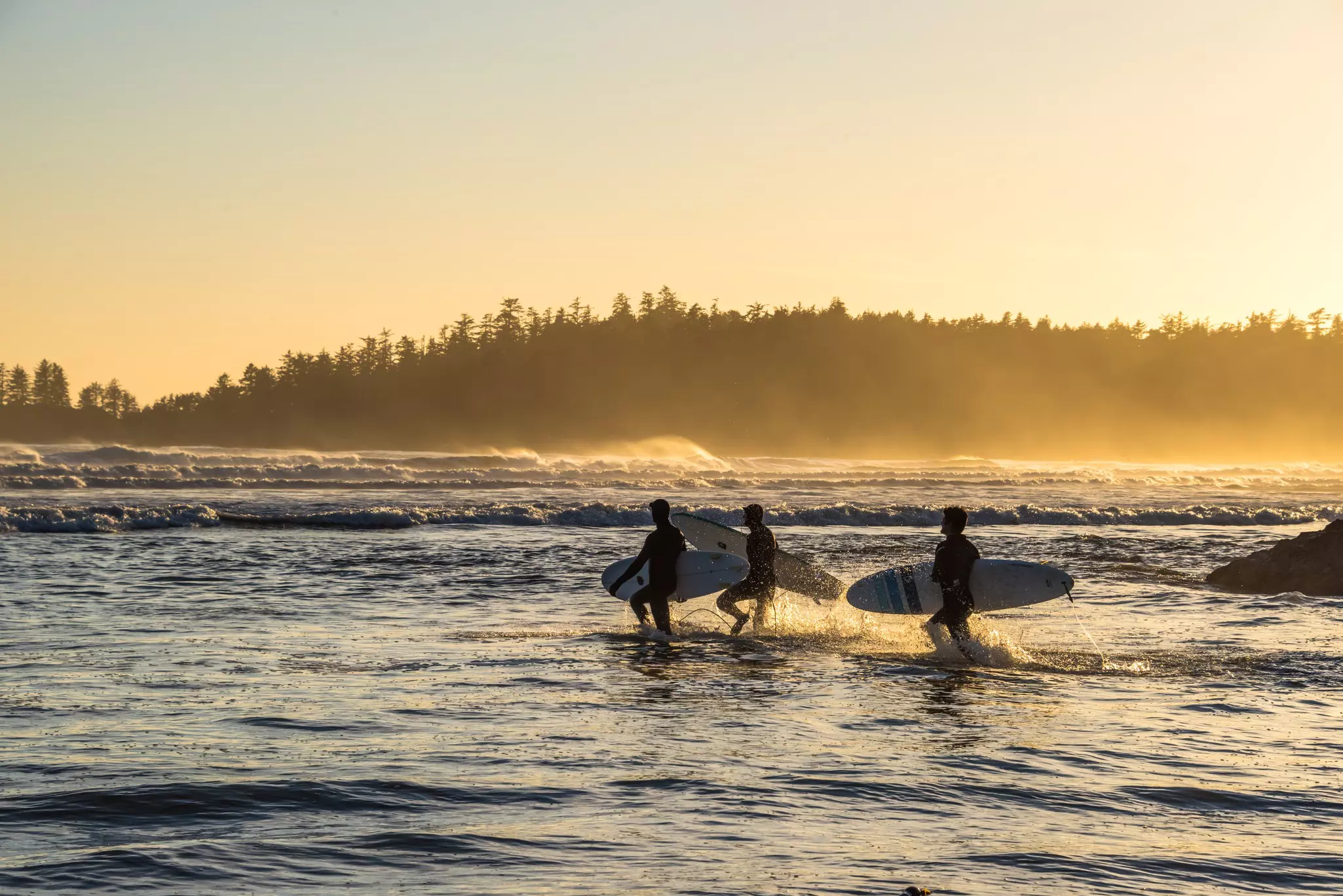 Three surfers, silhouetted in the evening sun, make their way out into the crashing waves carrying their boards.