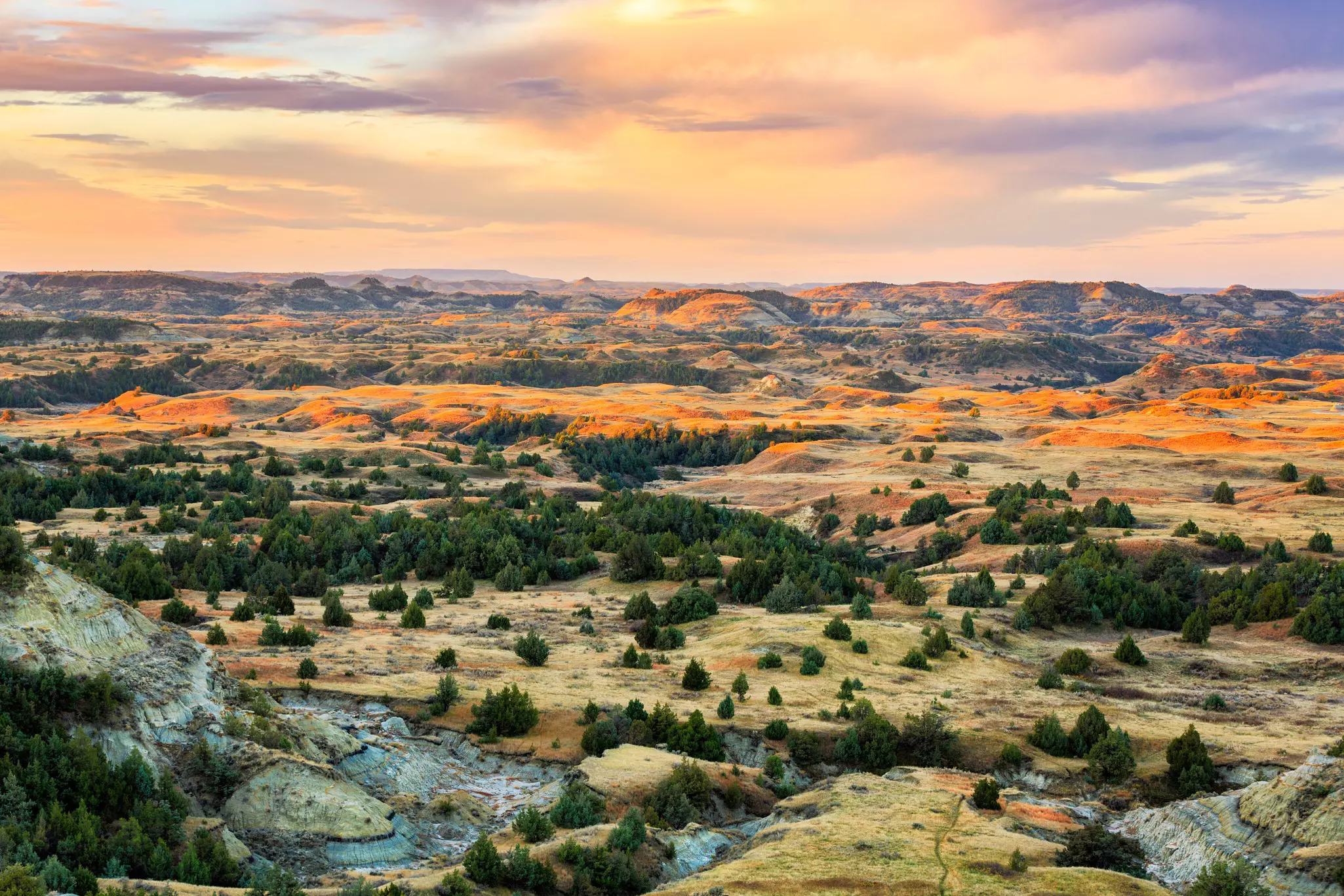 Sunrise over the hills of Theodore Roosevelt National Park.
751767346
badlands, nobody, park, national, north, sunrise, field, south, bright, wheat, kansas, summer, farm, grasslands, people, oklahoma, clouds, plains, alberta, color, canyon, beauty, sunset, sky, texas, scene, background, nature, landscape, dakota, the dakotas, north dakota, theodore roosevelt national park, national park