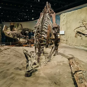 Drumheller, Canada - Mar 2023 Visitors flock to the dinosaur exhibits at the entrance of the Royal Tyrrell Museum. High quality photo; Shutterstock ID 2309481475; purchase_order: 65050; job: ; client: ; other: