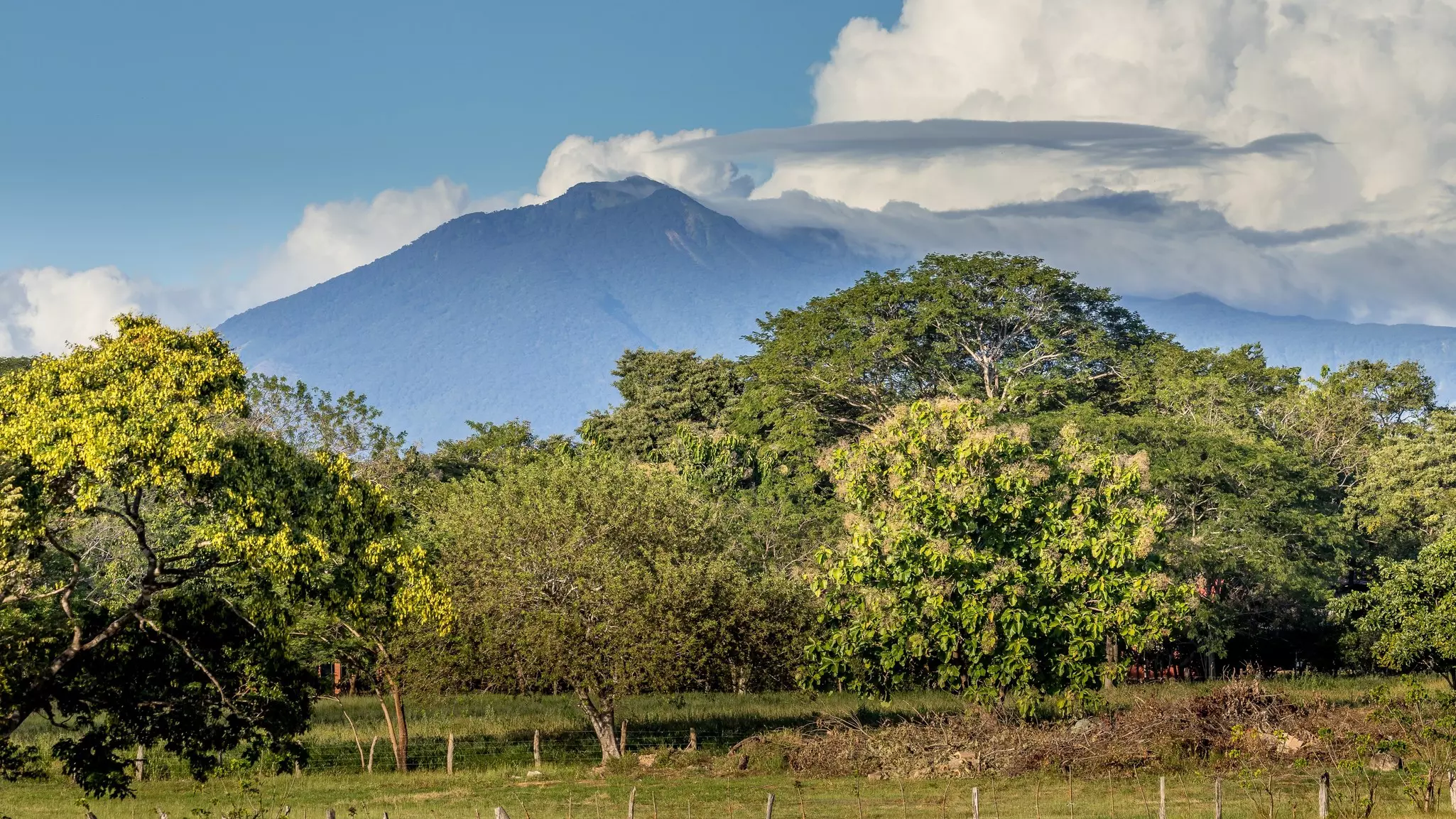 a volcano with clouds at the top and trees in the foreground