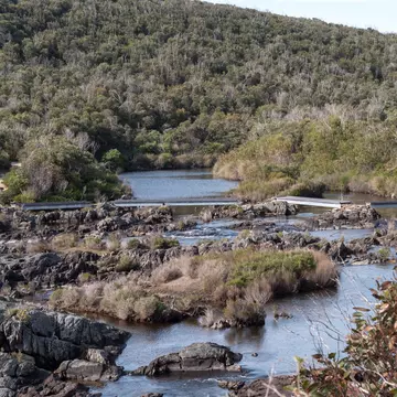 Snake Lagoon Hike 3.jpg