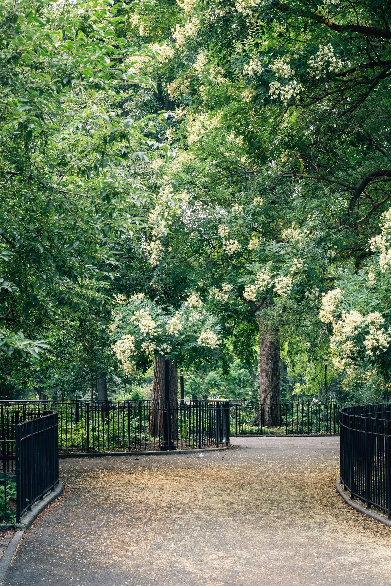 Walkway at Tompkins Square Park, in the East Village, New York City.
