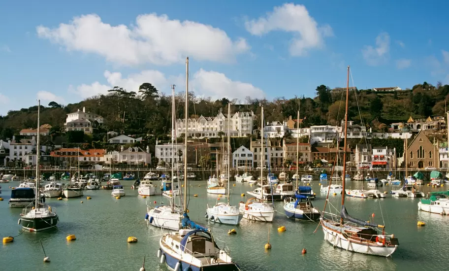 A tidal harbour crowded with moored yachts and small boats, backed by a wooded hillside dotted with white houses under a blue sky.