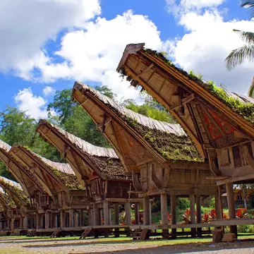 Huts built by Toraja peoples on a beach in Indonesia.