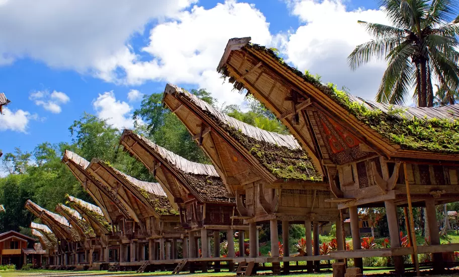 Tongkonan houses in Tana Toraja, Sulawesi, with moss-covered upswept roofs and carved red panels on wooden stilts