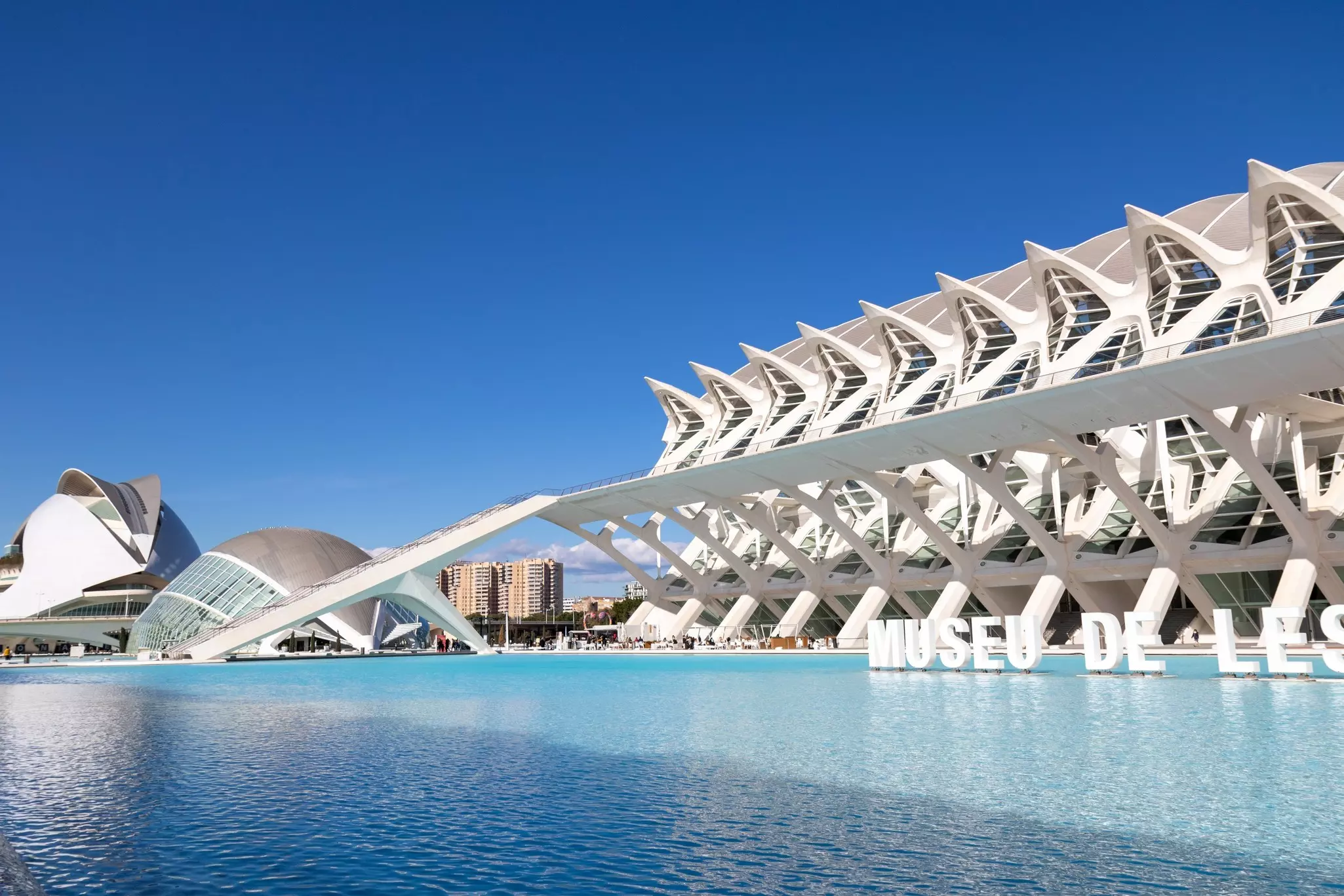Museum of Sciences in the City of Arts and Sciences. Calatrava's modern architecture in Valencia, Spain. 