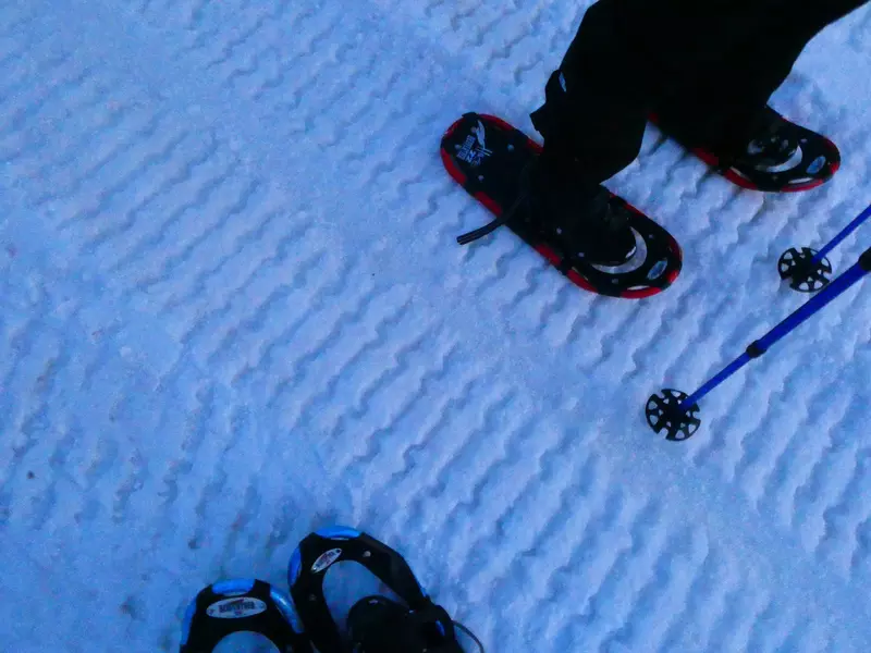 Snowshoes and ski poles. 