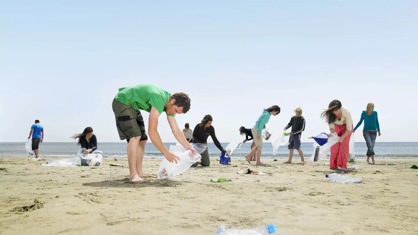 Young people collecting garbage on beach