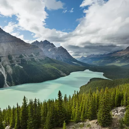 A green-blue alpine lake surrounded by woodland. 
