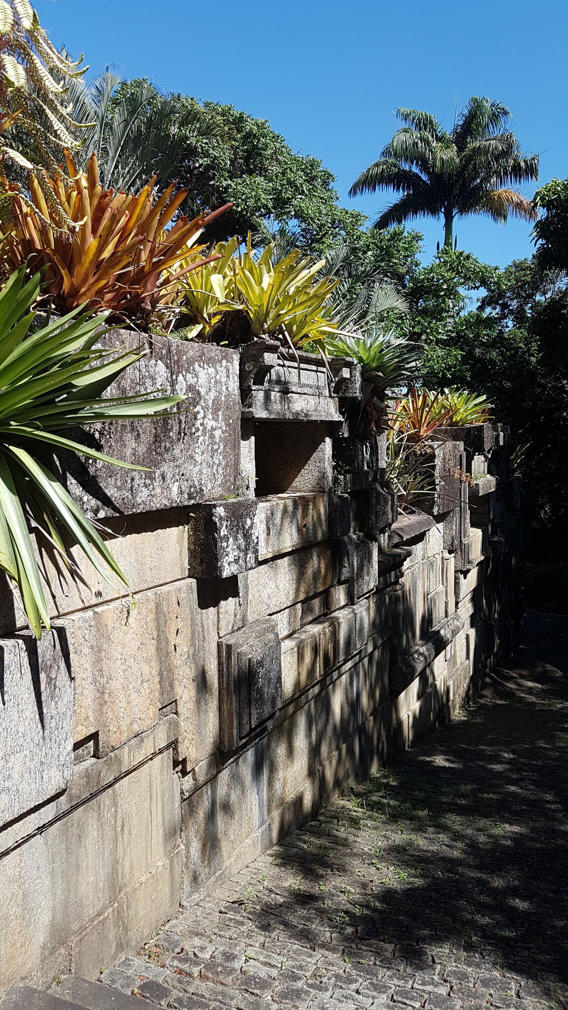 A sculptural concrete wall with tropical plants on top at Sítio Burle Marx in Rio de Janiero, Brazil.