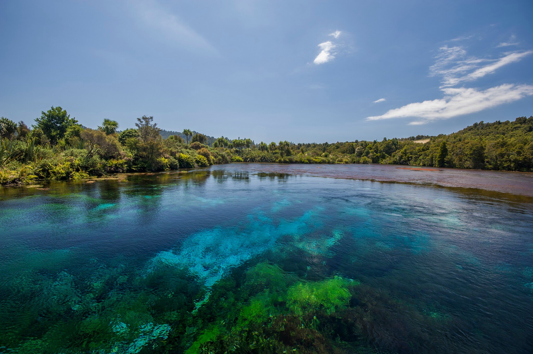View of Te Waikoropupu Springs, also known as Te Pupu Springs located in Golden Bay, on New Zealand's South Island.