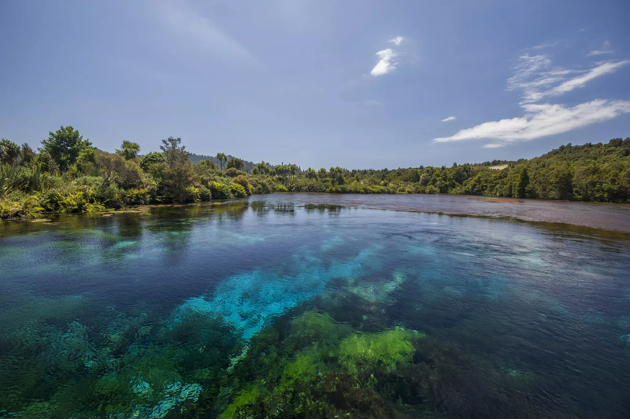 Te Waikoropupu Springs in New Zealand