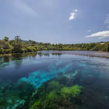 View of Te Waikoropupu Springs, also known as Te Pupu Springs located in Golden Bay, on New Zealand's South Island.
