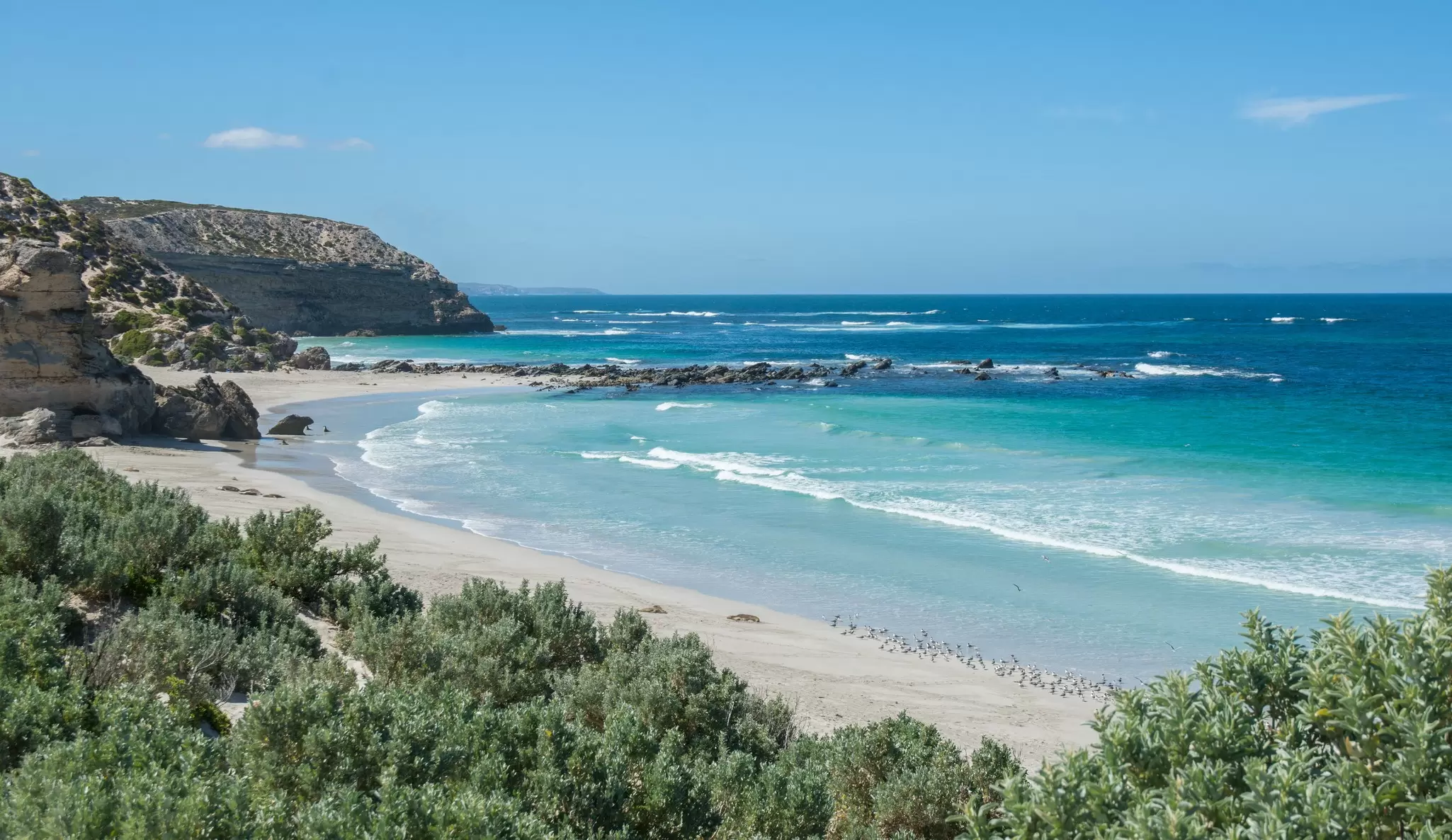 Seal Bay on Kangaroo Island, South Australia. Christopher Robin Smith Photography/Shutterstock